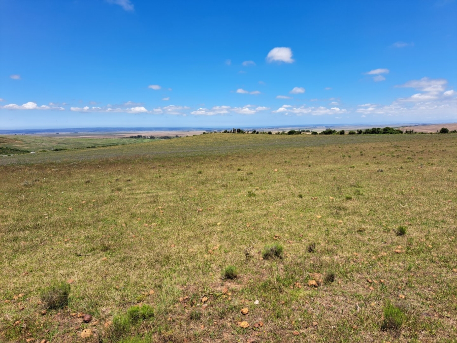 17 Bedroom Property for Sale in Riversdale Rural Western Cape